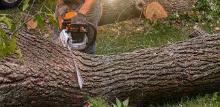 Best Weed Control  in London, CA